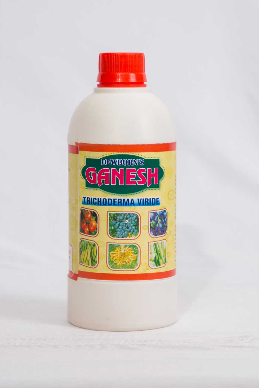 Home ganesh trichodama
