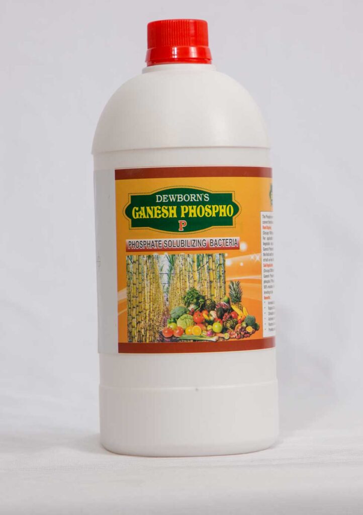 swati mam 13 1566470790