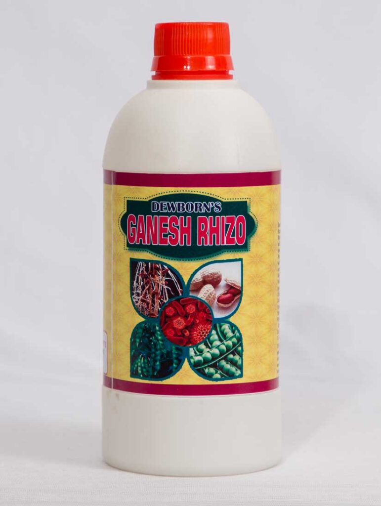 swati mam 19 1566470894